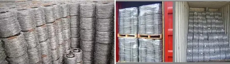 Galvanized Barbed Wire Mesh Plastic-Coated Barbed Wire